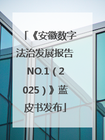 《安徽数字法治发展报告NO.1（2025）》蓝皮书发布