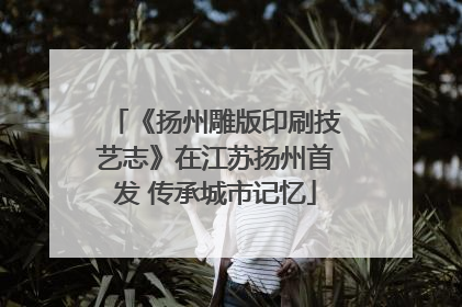 《扬州雕版印刷技艺志》在江苏扬州首发 传承城市记忆
