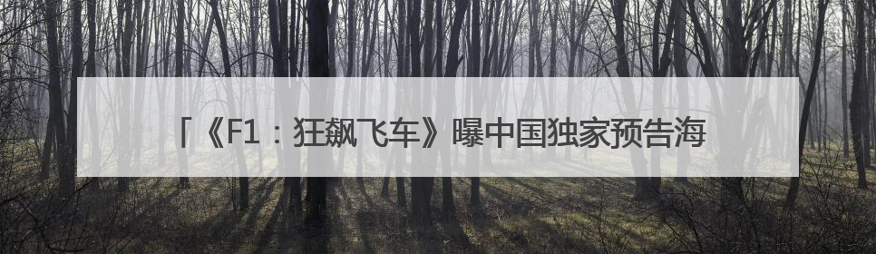 《F1：狂飙飞车》曝中国独家预告海报 布拉德・皮特携顶级大片燃爆暑期