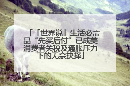 「世界说」生活必需品“先买后付”已成美消费者关税及通胀压力下的无奈抉择