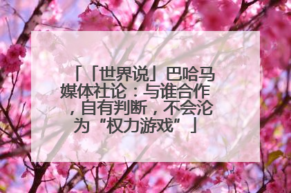 「世界说」巴哈马媒体社论：与谁合作，自有判断，不会沦为“权力游戏”