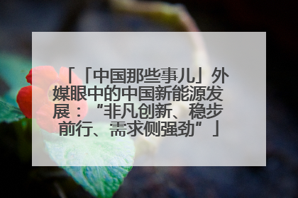 「中国那些事儿」外媒眼中的中国新能源发展：“非凡创新、稳步前行、需求侧强劲”