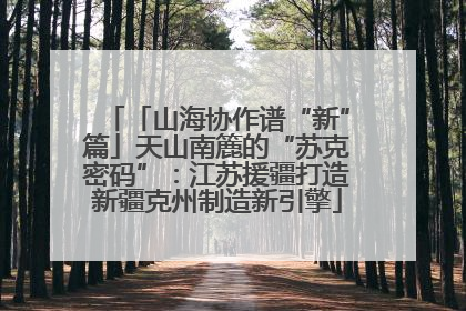 「山海协作谱“新”篇」天山南簏的“苏克密码”：江苏援疆打造新疆克州制造新引擎