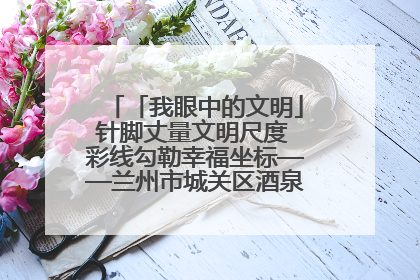「我眼中的文明」针脚丈量文明尺度 彩线勾勒幸福坐标——兰州市城关区酒泉路街道办事处
