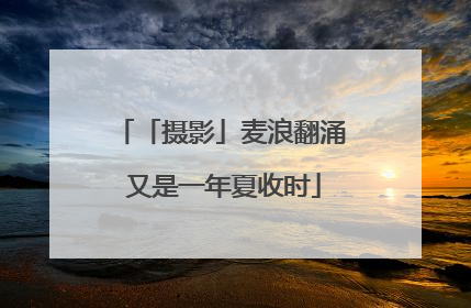 「摄影」麦浪翻涌 又是一年夏收时