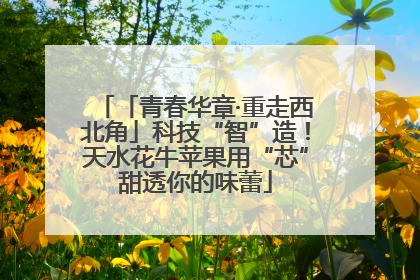 「青春华章·重走西北角」科技“智”造！天水花牛苹果用“芯”甜透你的味蕾