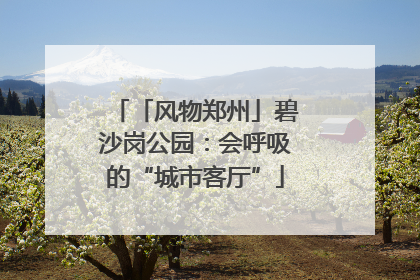 「风物郑州」碧沙岗公园：会呼吸的“城市客厅”