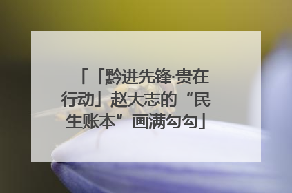 「黔进先锋·贵在行动」赵大志的“民生账本”画满勾勾