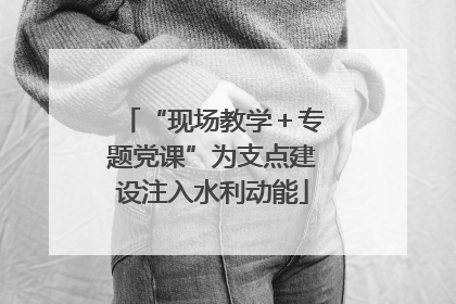 “现场教学＋专题党课”为支点建设注入水利动能