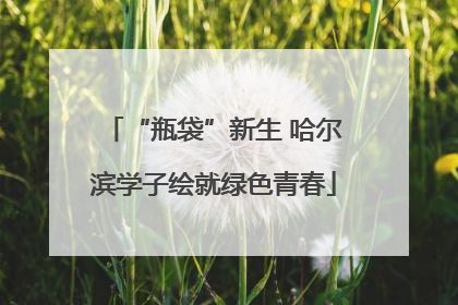 “瓶袋”新生 哈尔滨学子绘就绿色青春