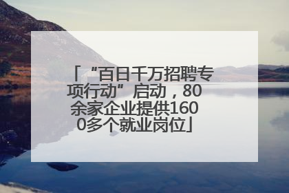 “百日千万招聘专项行动”启动，80余家企业提供1600多个就业岗位