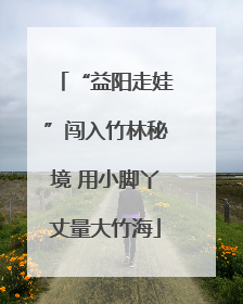 “益阳走娃”闯入竹林秘境 用小脚丫丈量大竹海