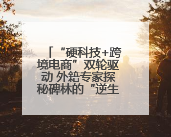 “硬科技+跨境电商”双轮驱动 外籍专家探秘碑林的“逆生长”密码