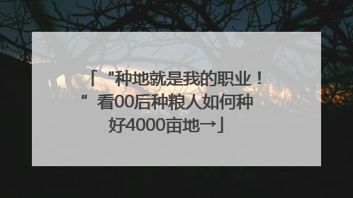 “种地就是我的职业！”看00后种粮人如何种好4000亩地→