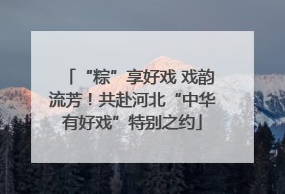 “粽”享好戏 戏韵流芳！共赴河北“中华有好戏”特别之约