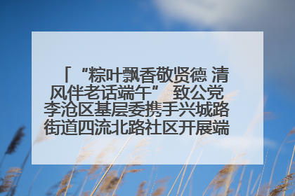 “粽叶飘香敬贤德 清风伴老话端午” 致公党李沧区基层委携手兴城路街道四流北路社区开展端午节主题活动
