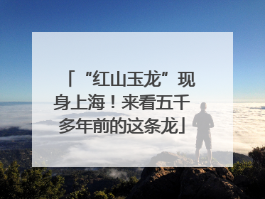 “红山玉龙”现身上海！来看五千多年前的这条龙