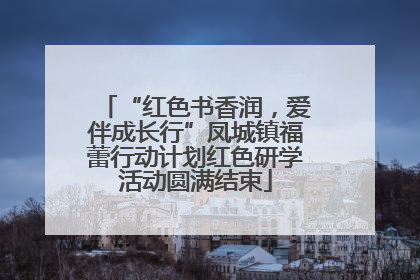 “红色书香润，爱伴成长行”凤城镇福蕾行动计划红色研学活动圆满结束