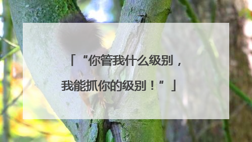 “你管我什么级别，我能抓你的级别！”