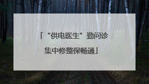 “供电医生”勤问诊 集中修整保畅通