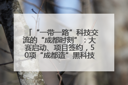 “一带一路”科技交流的“成都时刻”：大赛启动、项目签约，50项“成都造”黑科技吸引多国客商