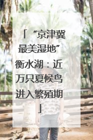 “京津冀最美湿地”衡水湖：近万只夏候鸟进入繁殖期