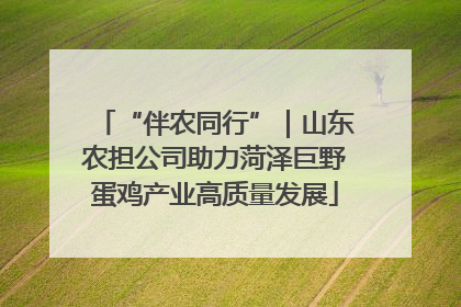 “伴农同行”｜山东农担公司助力菏泽巨野蛋鸡产业高质量发展