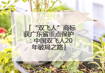 “双飞人”商标获广东省重点保护：中国双飞人20年破局之路