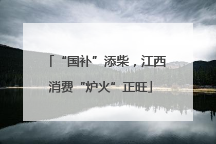 “国补”添柴，江西消费“炉火”正旺