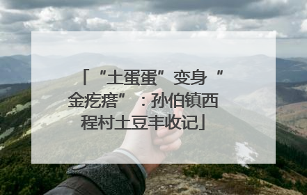 “土蛋蛋”变身“金疙瘩”：孙伯镇西程村土豆丰收记