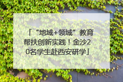 “地域+领域”教育帮扶创新实践！金沙20名学生赴西安研学