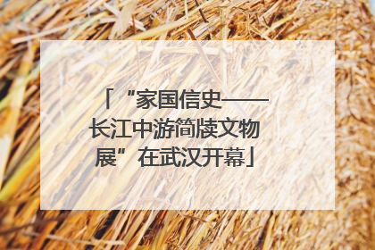 “家国信史——长江中游简牍文物展”在武汉开幕