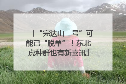 “完达山一号”可能已“脱单”！东北虎种群也有新喜讯