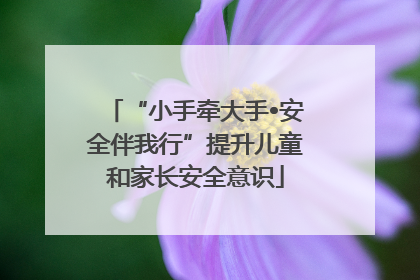 “小手牵大手•安全伴我行”提升儿童和家长安全意识