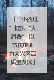 “小西瓜”提振“大消费” 以节庆IP助力大兴区高质量发展