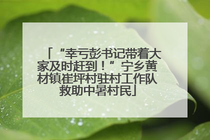 “幸亏彭书记带着大家及时赶到！”宁乡黄材镇崔坪村驻村工作队救助中暑村民