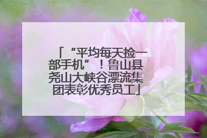 “平均每天捡一部手机”！鲁山县尧山大峡谷漂流集团表彰优秀员工