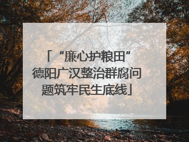 “廉心护粮田” 德阳广汉整治群腐问题筑牢民生底线