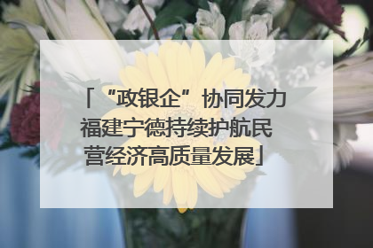 “政银企”协同发力 福建宁德持续护航民营经济高质量发展