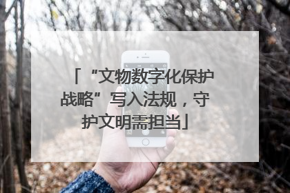 “文物数字化保护战略”写入法规，守护文明需担当