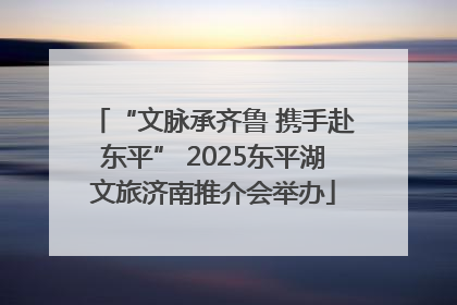 “文脉承齐鲁 携手赴东平” 2025东平湖文旅济南推介会举办
