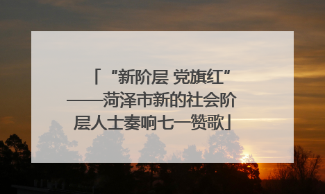 “新阶层 党旗红”——菏泽市新的社会阶层人士奏响七一赞歌