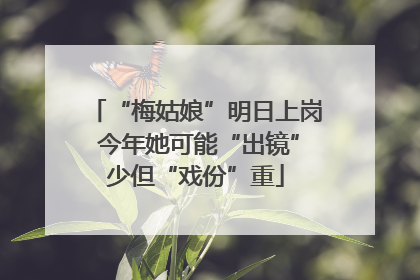 “梅姑娘”明日上岗 今年她可能“出镜”少但“戏份”重