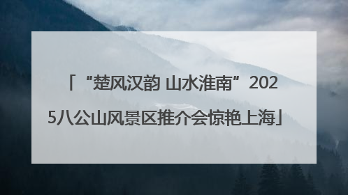 “楚风汉韵 山水淮南”2025八公山风景区推介会惊艳上海