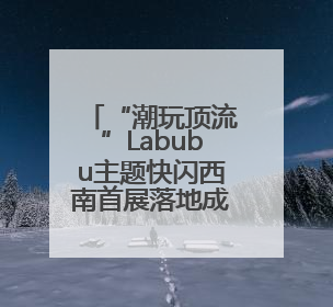 “潮玩顶流”Labubu主题快闪西南首展落地成都 首发经济引擎再添动能
