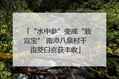 “水中参”变成“致富宝” 南漳八泉村千亩茭白喜获丰收
