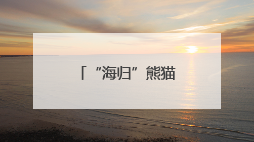 “海归”熊猫，温州亮相