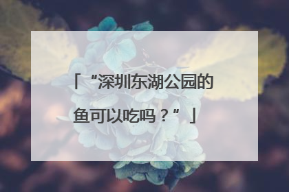 “深圳东湖公园的鱼可以吃吗？”