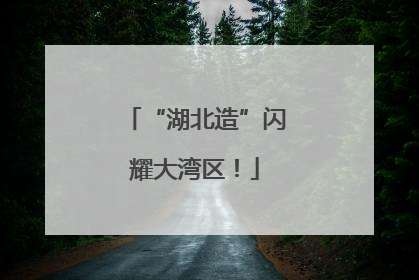 “湖北造”闪耀大湾区！