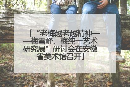 “老梅越老越精神——梅雪峰、梅纯一艺术研究展”研讨会在安徽省美术馆召开